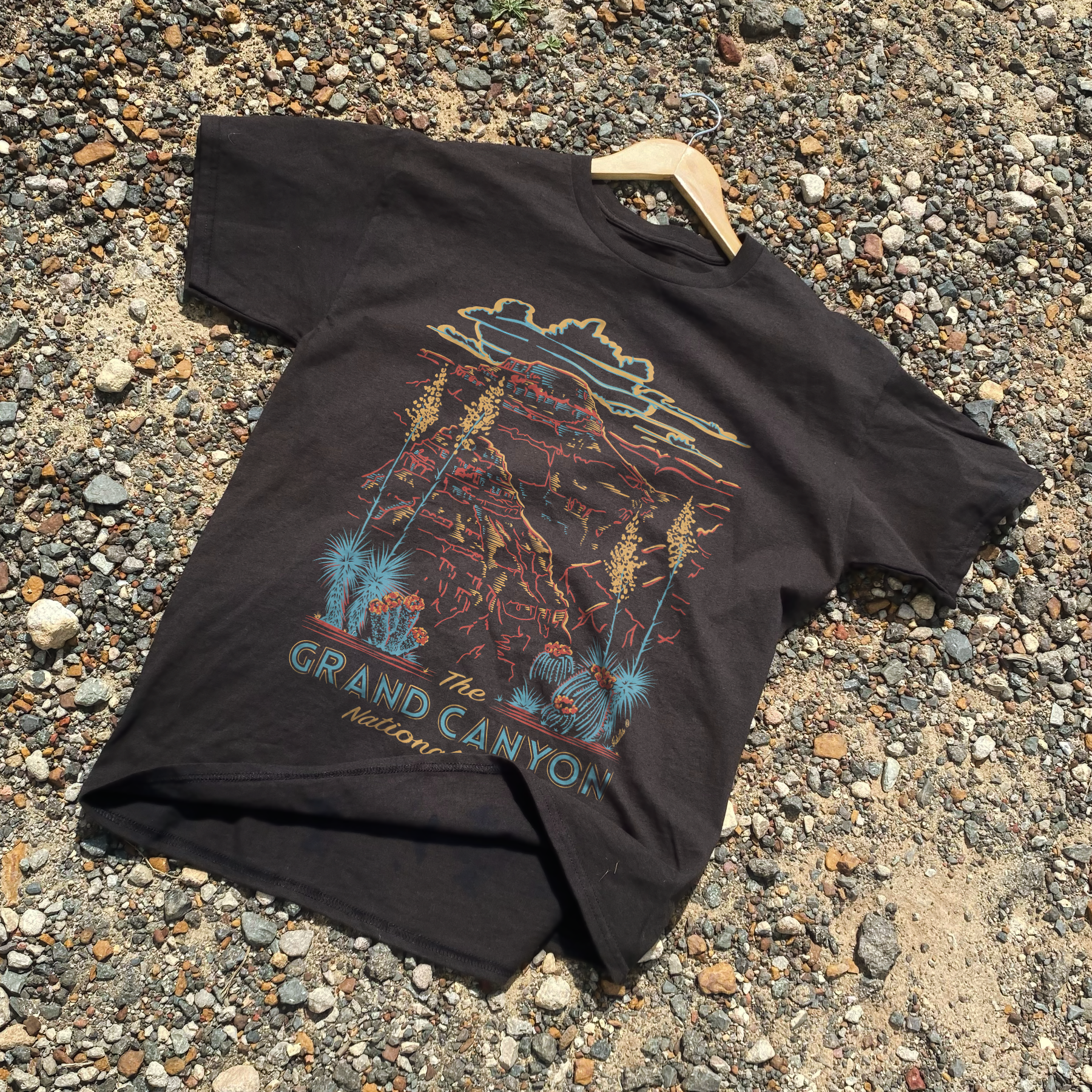 Grand Canyon National Park Washed Black Tee