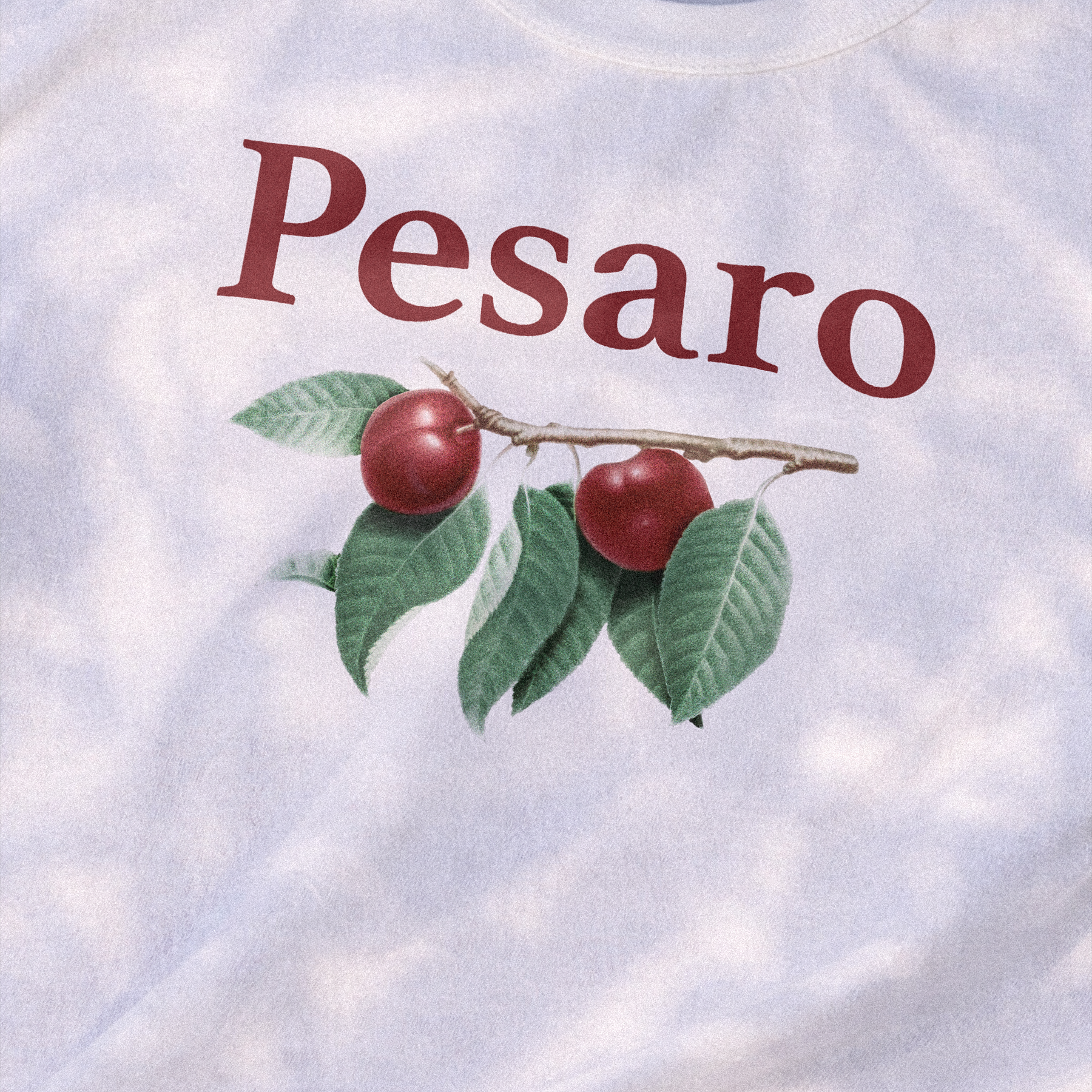 Pesaro Italy 'Plum Branch' Vintage Washed White Tee