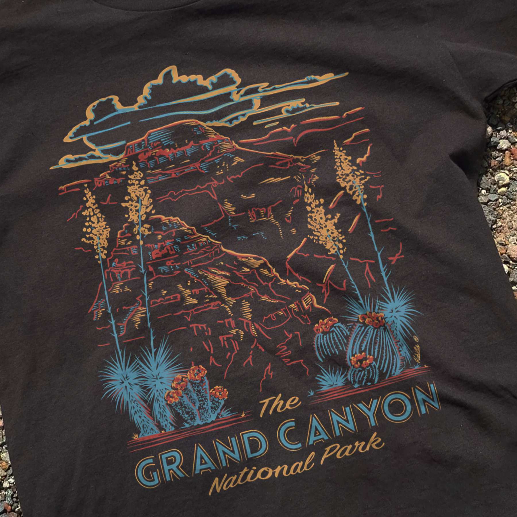 Grand Canyon National Park Washed Black Tee